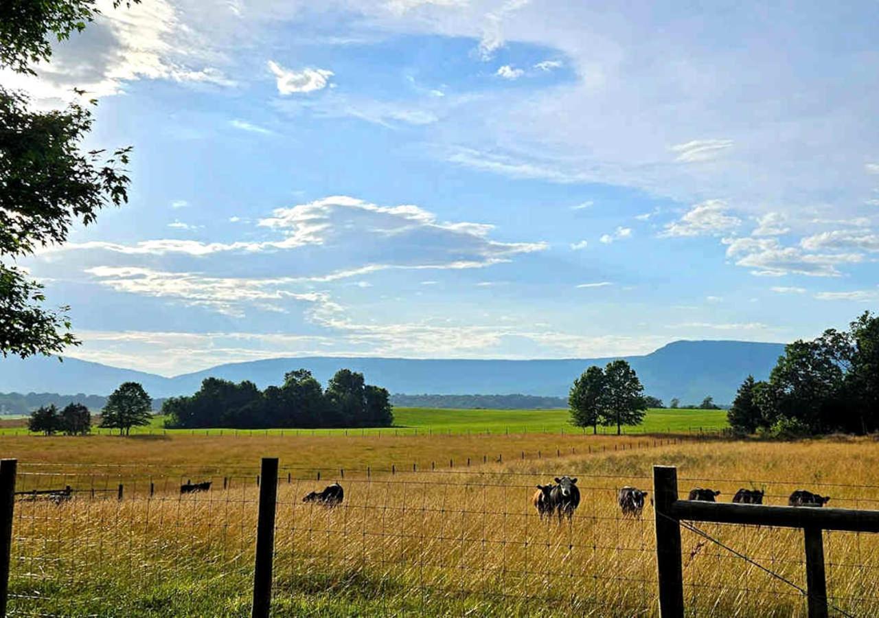 Piney Hill B&B And Cottages Luray Dış mekan fotoğraf