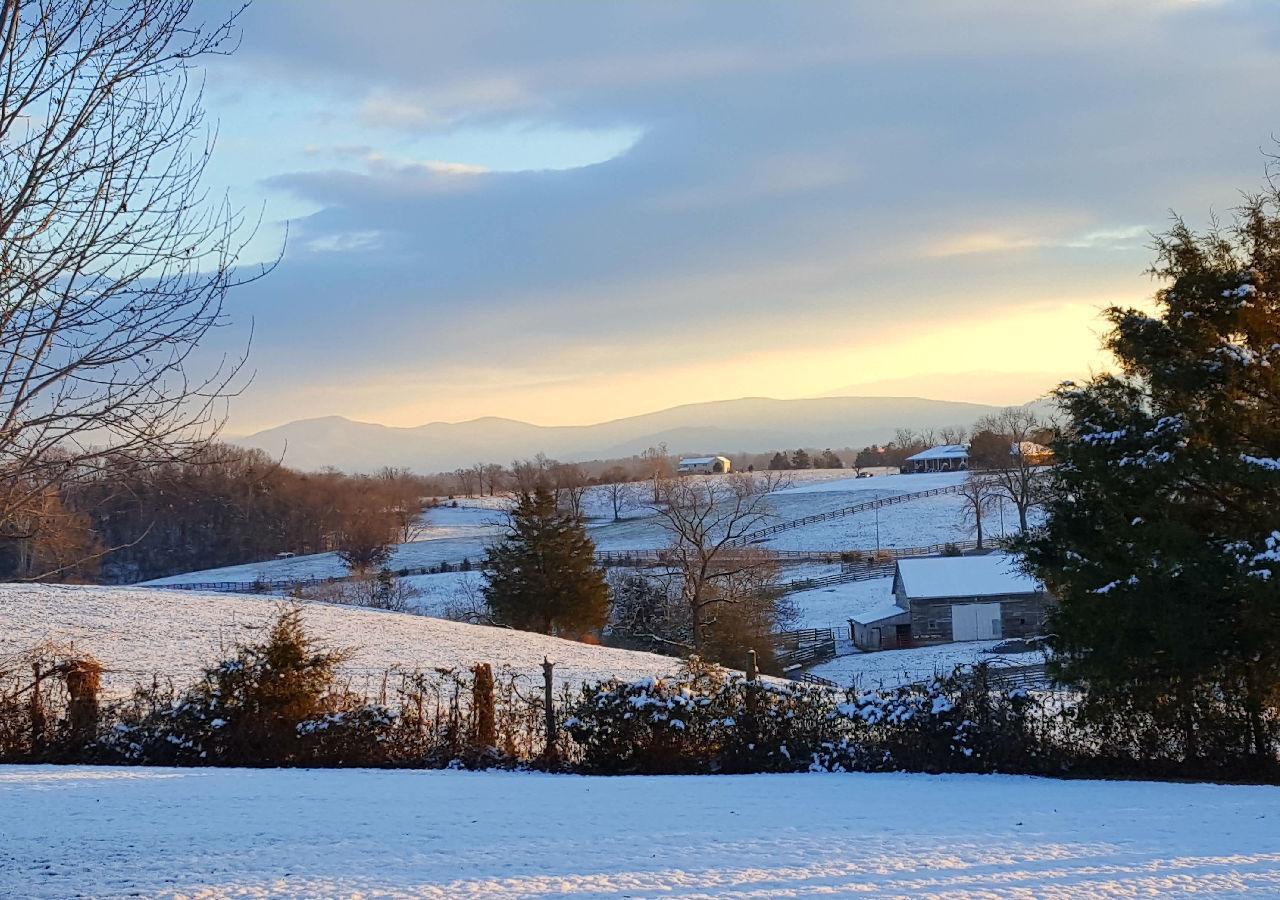 Piney Hill B&B And Cottages Luray Dış mekan fotoğraf
